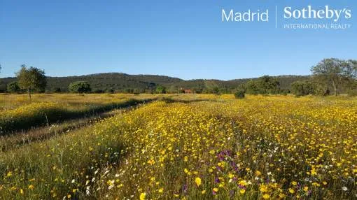 Wonderful farm and hunting in Cáceres